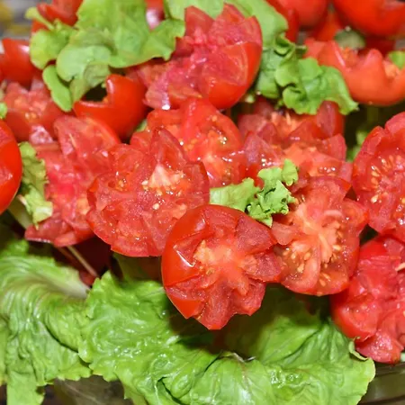 Хотел малибу 4*